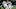 GREEN BAY, WI – SEPTEMBER 28: Ha Ha Clinton-Dix GREEN BAY, WI – SEPTEMBER 28: Ha Ha Clinton-Dix