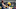 ARLINGTON, TX – OCTOBER 08: Aaron Rodgers ARLINGTON, TX – OCTOBER 08: Aaron Rodgers