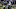 PITTSBURGH, PA – JANUARY 14: Keelan Cole PITTSBURGH, PA – JANUARY 14: Keelan Cole