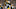 GREEN BAY, WI – AUGUST 22: Morgan Burnett GREEN BAY, WI – AUGUST 22: Morgan Burnett
