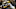 NEW ORLEANS, LA – OCTOBER 26: Brandin Cooks NEW ORLEANS, LA – OCTOBER 26: Brandin Cooks