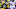 GREEN BAY, WI – DECEMBER 23: Jamaal Williams