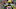 Donald Driver, Green Bay Packers Donald Driver, Green Bay Packers