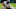 Green Bay Packers Green Bay Packers
