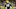 Green Bay Packers, Dexter Williams Green Bay Packers, Dexter Williams