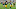 Green Bay Packers, Za'Darius Smith, Preston Smith Green Bay Packers, Za'Darius Smith, Preston Smith