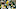 GREEN BAY, WISCONSIN – SEPTEMBER 26: Aaron Rodgers #12 of the Green Bay Packers throws a pass in the first quarter against the Philadelphia Eagles at Lambeau Field on September 26, 2019 in Green Bay, Wisconsin. (Photo by Dylan Buell/Getty Images) GREEN BAY, WISCONSIN – SEPTEMBER 26: Aaron Rodgers #12 of the Green Bay Packers throws a pass in the first quarter against the Philadelphia Eagles at Lambeau Field on September 26, 2019 in Green Bay, Wisconsin. (Photo by Dylan Buell/Getty Images)
