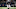 Tavon Austin (Photo by Ronald Martinez/Getty Images) Tavon Austin (Photo by Ronald Martinez/Getty Images)