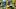 Green Bay Packers, Jamaal Williams Green Bay Packers, Jamaal Williams
