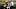 Green Bay Packers, Allen Lazard Green Bay Packers, Allen Lazard