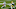 Green Bay Packers, Christian Kirksey
