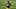 Green Bay Packers, Za'Darius Smith Green Bay Packers, Za'Darius Smith