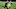 Green Bay Packers, Christian Kirksey Green Bay Packers, Christian Kirksey