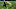 Green Bay Packers, Ty Summers Green Bay Packers, Ty Summers