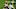 Green Bay Packers, Aaron Rodgers Green Bay Packers, Aaron Rodgers