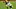 Green Bay Packers, Josh Jackson Green Bay Packers, Josh Jackson