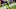 Green Bay Packers, Davante Adams Green Bay Packers, Davante Adams