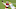 Green Bay Packers, Preston Smith Green Bay Packers, Preston Smith