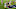 Green Bay Packers, Marquez Valdes-Scantling Green Bay Packers, Marquez Valdes-Scantling