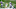 Green Bay Packers, Marquez Valdes-Scantling Green Bay Packers, Marquez Valdes-Scantling