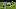 Green Bay Packers, Aaron Jones Green Bay Packers, Aaron Jones