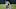 Green Bay Packers, Adrian Amos Green Bay Packers, Adrian Amos