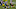 Green Bay Packers, Krys Barnes Green Bay Packers, Krys Barnes