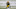 Green Bay Packers, Za'Darius Smith Green Bay Packers, Za'Darius Smith