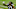 Green Bay Packers, Aaron Jones Green Bay Packers, Aaron Jones