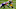 Green Bay Packers, Josiah Deguara Green Bay Packers, Josiah Deguara