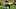 Green Bay Packers, Aaron Rodgers