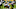 Green Bay Packers, Rashan Gary Green Bay Packers, Rashan Gary