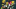 Green Bay Packers Green Bay Packers