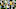 Green Bay Packers Green Bay Packers