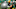 Green Bay Packers Green Bay Packers