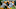 Green Bay Packers Green Bay Packers