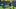 Green Bay Packers Green Bay Packers