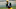 Green Bay Packers, Quay Walker Green Bay Packers, Quay Walker