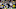 Green Bay Packers Green Bay Packers
