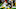 Green Bay Packers Green Bay Packers