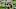 Green Bay Packers Green Bay Packers