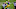 Green Bay Packers, Aaron Rodgers Green Bay Packers, Aaron Rodgers