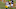 Green Bay Packers Green Bay Packers