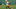 Green Bay Packers, Amari Rodgers Green Bay Packers, Amari Rodgers