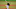 Miami Marlins Miami Marlins