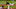 Miami Marlins Miami Marlins