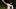 Miami Marlins Miami Marlins