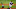 Miami Marlins Miami Marlins