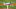 Miami Marlins Miami Marlins