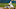Miami Marlins Miami Marlins